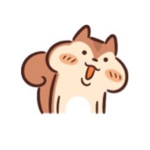 りすどん